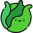 Cabbages